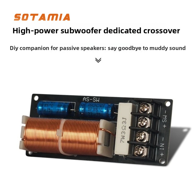 SOTAMIA High Power Passive Sub - Home Cinema Subwoofer review and price