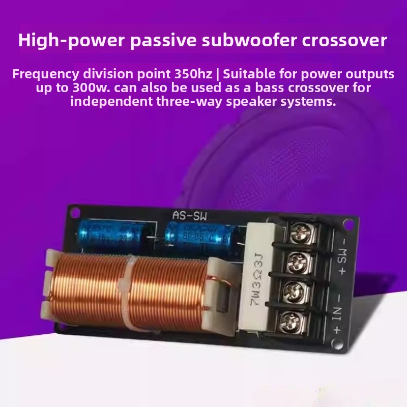 SOTAMIA High Power Passive Sub - Home Cinema Subwoofer review and price