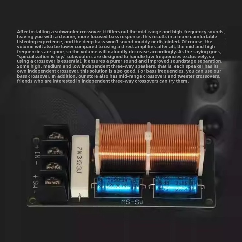 SOTAMIA High Power Passive Sub - Home Cinema Subwoofer review and price
