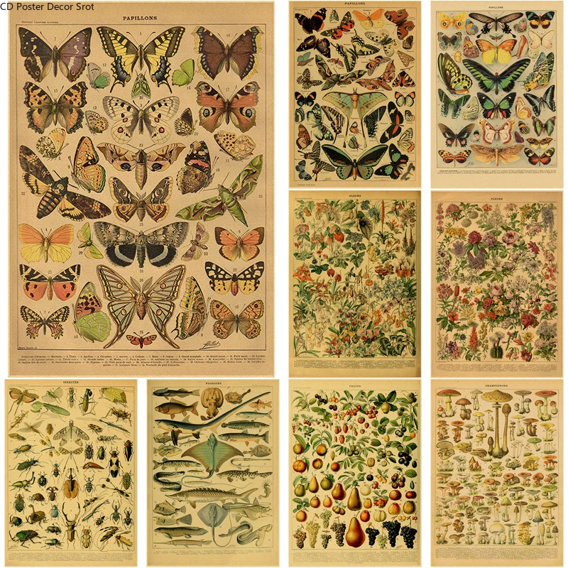 Butterfly Insect Flower Mushro - Home Cinema Wall Art review and price