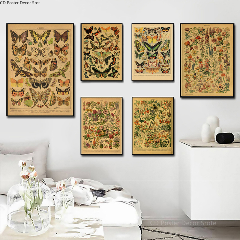 Butterfly Insect Flower Mushro - Home Cinema Wall Art review and price